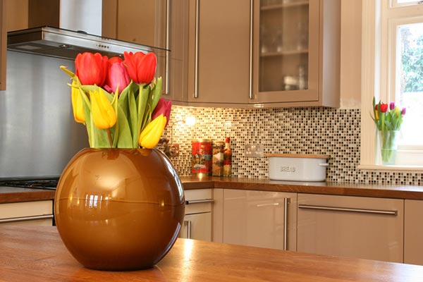Gloss With Oak